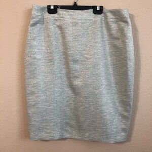 Blue Metallic Skirt With Back Zipper Classic